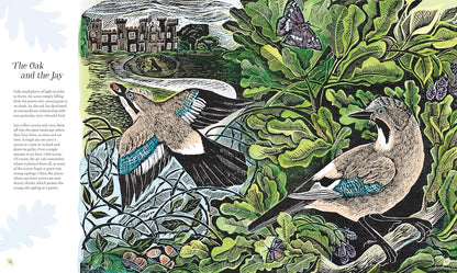 Wilding: How to Bring Wildlife Back - The New Illustrated Guide