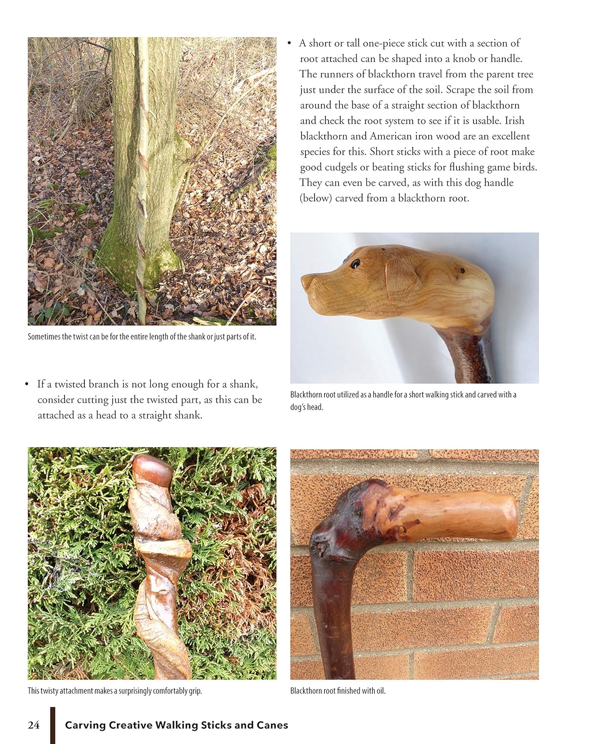 Carving Creative Walking Sticks and Canes: 13 Projects to Carve in Wood: 13 Projects to Carve in Wood