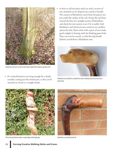 Carving Creative Walking Sticks and Canes: 13 Projects to Carve in Wood: 13 Projects to Carve in Wood