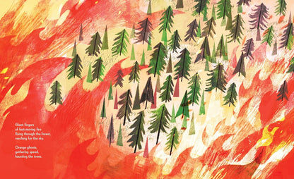 Pine Cone Regrown: How One Species Thrives After Fire by Elisa Boxer