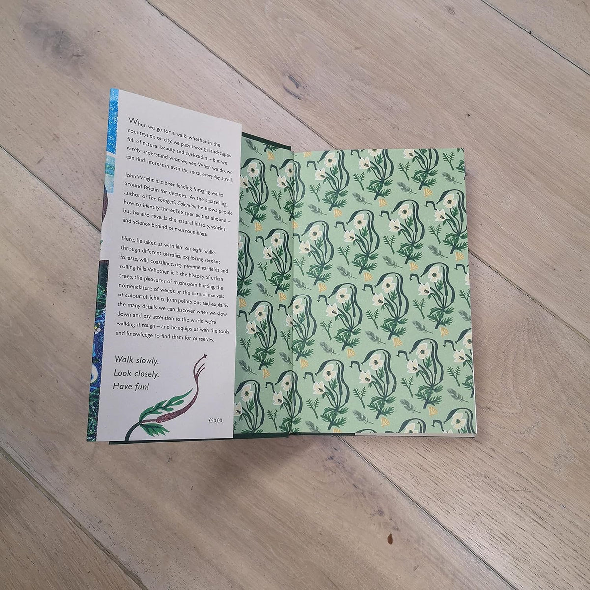 The Observant Walker: Wild Food, Nature and Hidden Treasures on the Pathways of Britain by John Wright (signed copy)