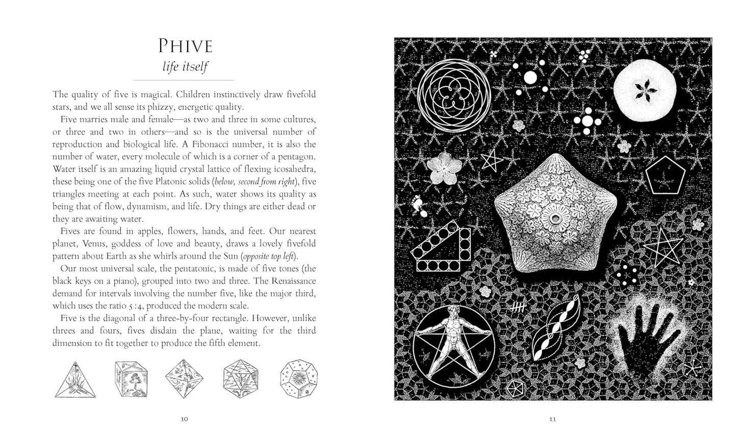 Sacred Number: The Secret Qualities of Quantities