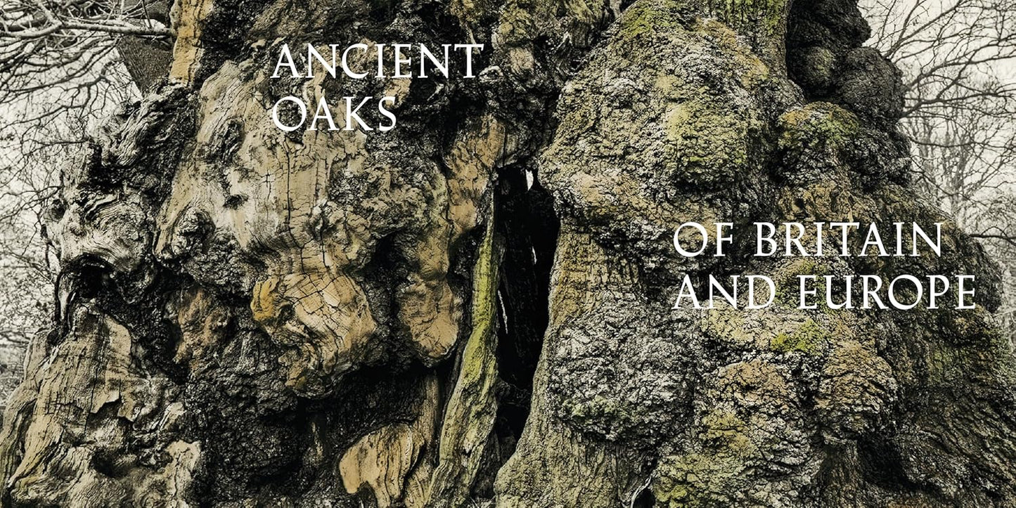 Oak: From Seed to Ancient Tree: From Seed to Ancient Tree
