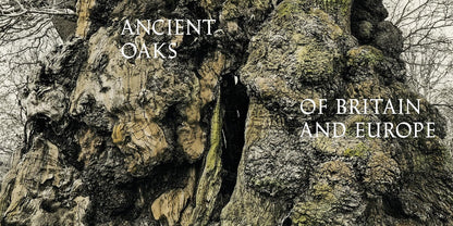 Oak: From Seed to Ancient Tree: From Seed to Ancient Tree