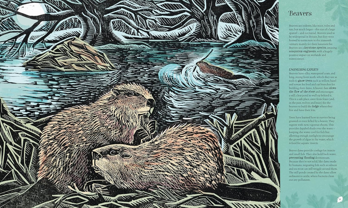 Wilding: How to Bring Wildlife Back - The New Illustrated Guide
