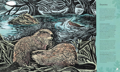 Wilding: How to Bring Wildlife Back - The New Illustrated Guide
