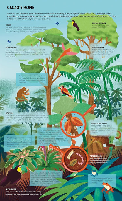 Chocolate Unwrapped: A Taste of the Science, History and Magic of Chocolate