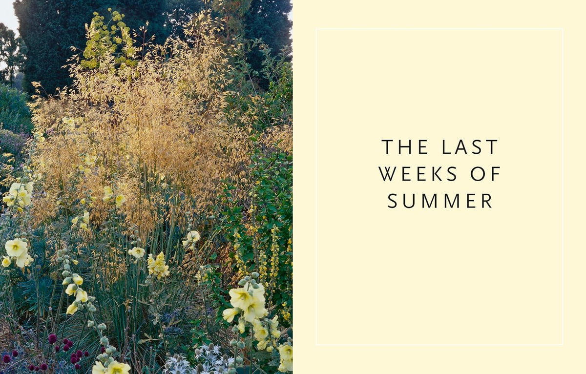 Drought-Resistant Planting
