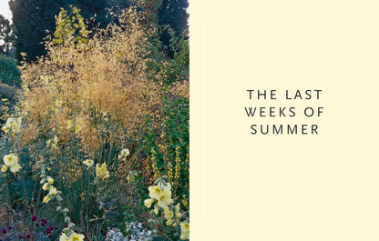 Drought-Resistant Planting