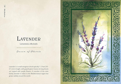 Wild Medicine: An Illustrated Guide to the Magick of Herbs: An Illustrated Guide to the Magick of Herbs