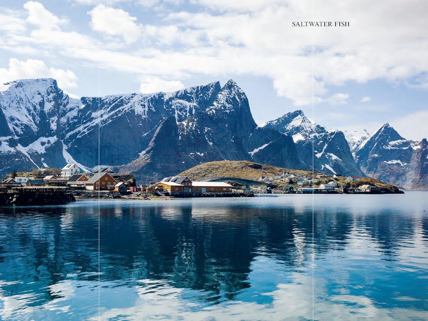 The Nordic Cookbook by Magnus Nilsson