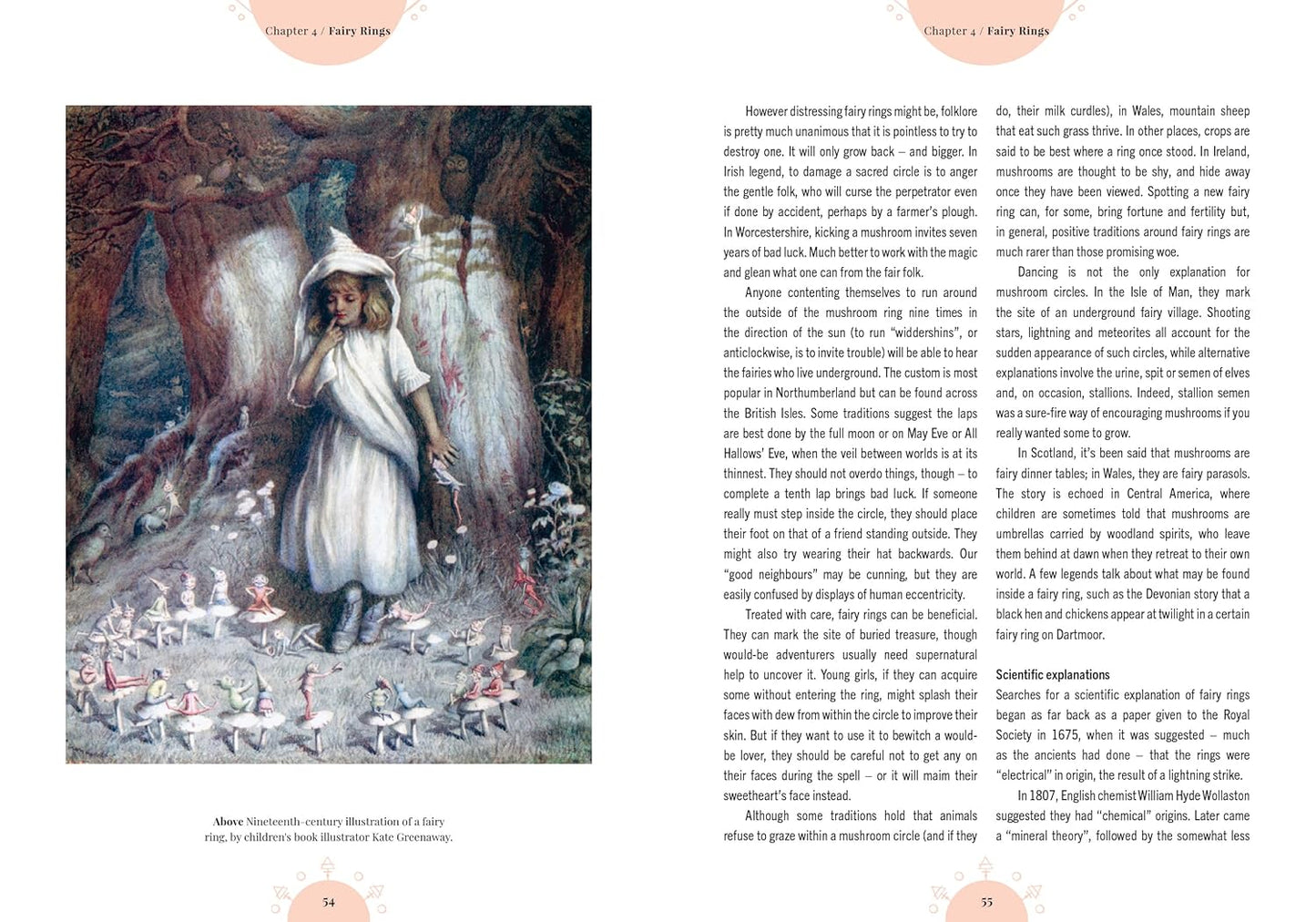 The Magic of Mushrooms: Fungi in Folklore, Superstition and Traditional Medicine: Fungi in Folklore, Superstition and Traditional Medicine