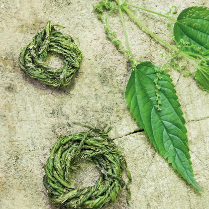 Nettle: Simple Things to Do with the Plants Around You (The Little Wild Library)
