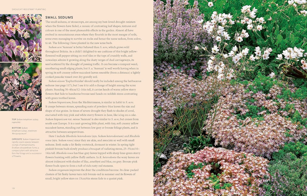 Drought-Resistant Planting