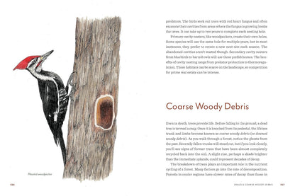 Knowing the Trees: Discover the Forest from Seed to Snag: Discover the Forest from Seed to Snag