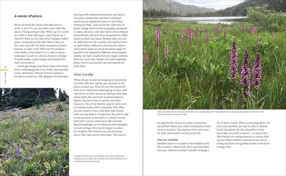 Tiny and Wild: Build a Small-Scale Meadow Anywhere by Graham Laird Gardner