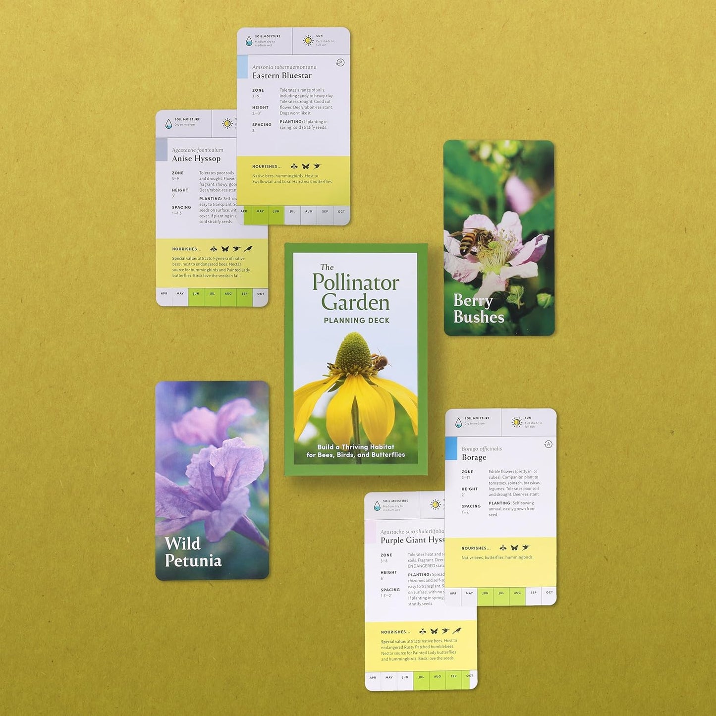 The Pollinator Garden Planning Deck: Build a Thriving Habitat for Bees, Birds, and Butterflies (109-Card Box Set) by Cathy, Jenny & Michael  Katz
