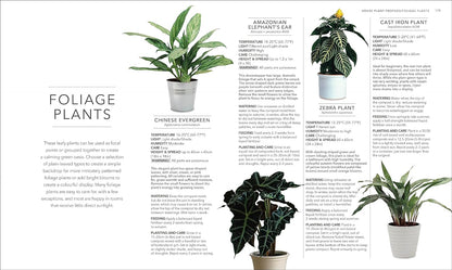 Houseplant: Practical Advice for All Houseplants, Cacti, and Succulents by Fran Bailey & Zia Allaway