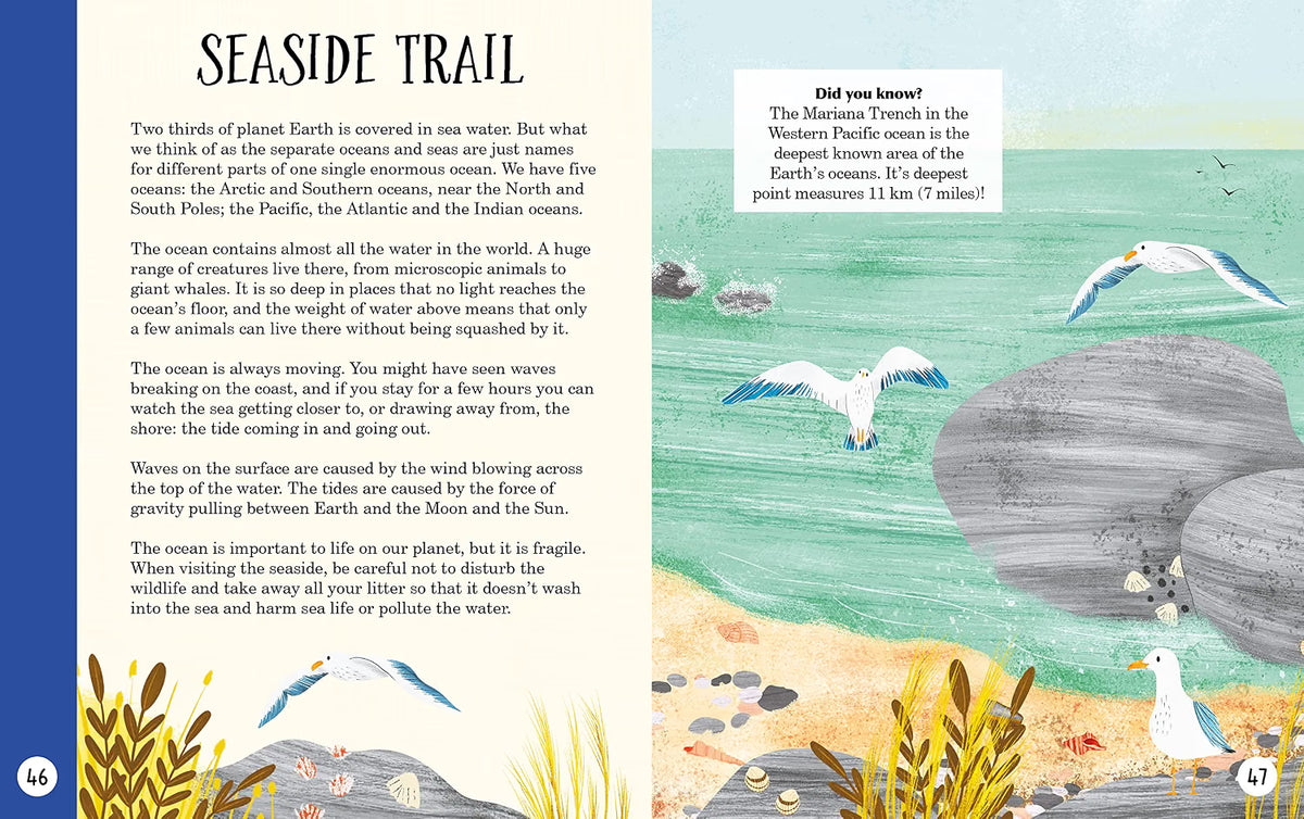 Sticks, Stars, Dens & Stones: Fun Days in the Great Outdoors (RHS) by Emil Fortune