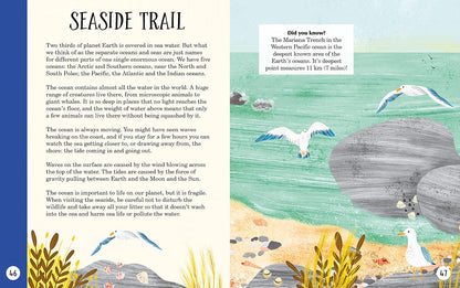 Sticks, Stars, Dens & Stones: Fun Days in the Great Outdoors (RHS) by Emil Fortune