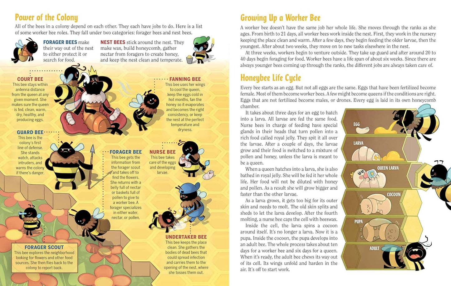 Turn This Book Into a Beehive!: And 19 Other Experiments and Activities That Explore the Amazing World of Bees by Lynn Brunelle