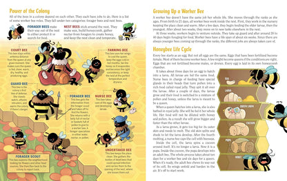 Turn This Book Into a Beehive!: And 19 Other Experiments and Activities That Explore the Amazing World of Bees by Lynn Brunelle