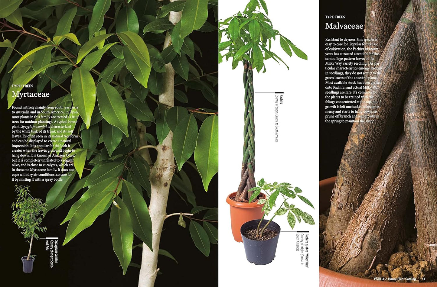 House Plants for Every Space: A Concise Guide to Selecting, Designing and Maintaining Plants in Any Indoor Space: A Concise Guide to Selecting, Designing and Maintaining Plants in Any Indoor Space