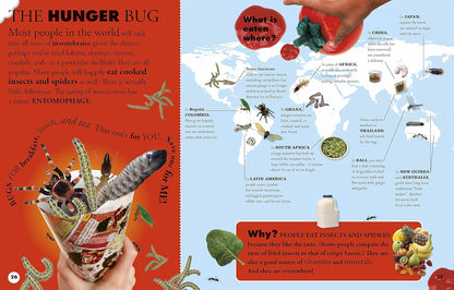 Everything You Need to Know about Bugs by DK