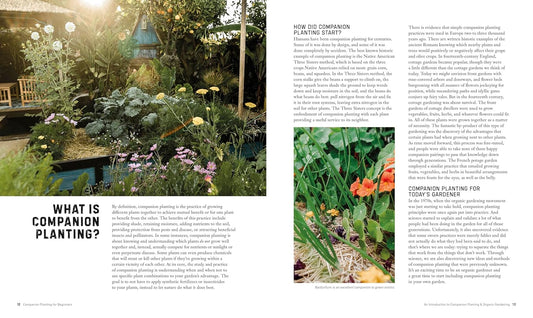 Companion Planting for Beginners: Pair Your Plants for a Bountiful, Chemical-Free Vegetable Garden: Pair Your Plants for a Bountiful, Chemical-Free Vegetable Garden