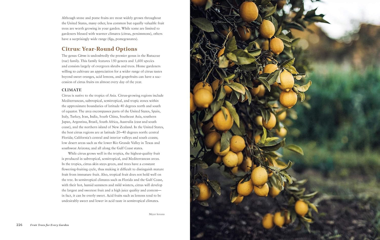 Fruit Trees for Every Garden: An Organic Approach to Growing Apples, Pears, Peaches, Plums, Citrus, and More: An Organic Approach to Growing Apples, Pears, Peaches, Plums, Citrus, and More