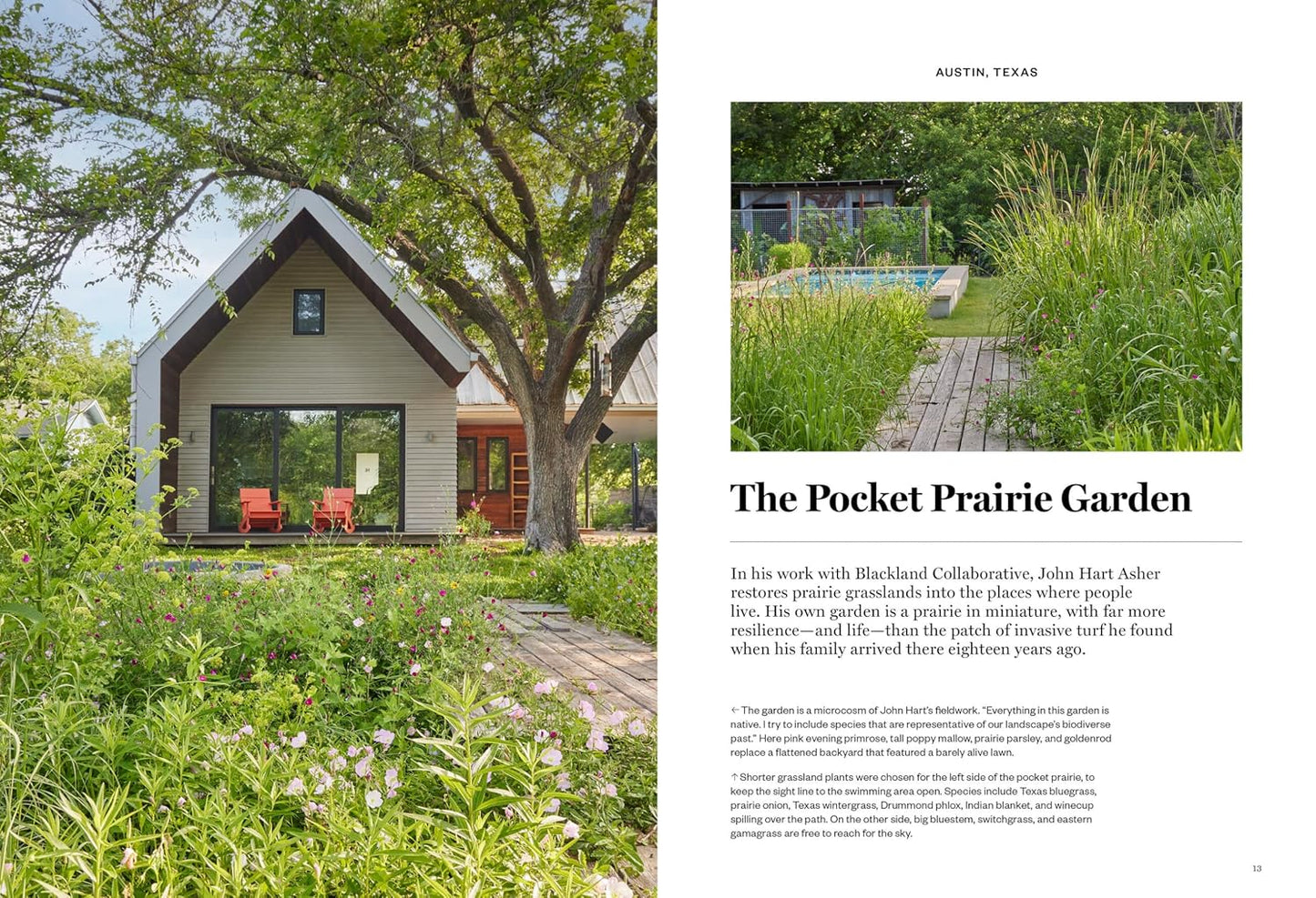 Gardenista: The Low-Impact Garden: A Guide to Creating Sustainable Outdoor Spaces: A Guide to Creating Sustainable Outdoor Spaces