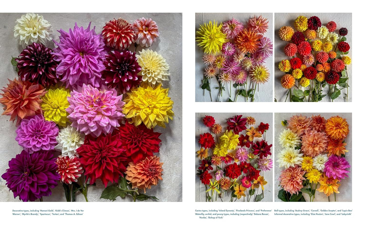 Life with Flowers: Inspiration and Lessons from the Garden: Inspiration and Lessons from the Garden