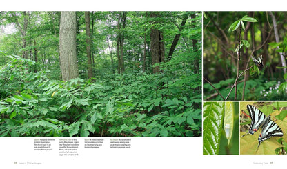 The Living Landscape: Designing for Beauty and Biodiversity in the Home Garden: Designing for Beauty and Biodiversity in the Home Garden