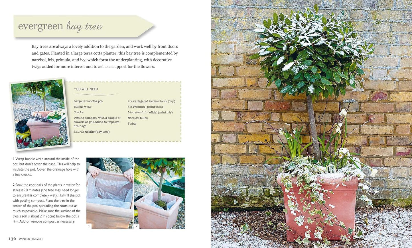 The Winter Garden: Over 35 Step-By-Step Projects for Small Spaces Using Foliage and Flowers, Berries and Blooms, and Herbs and Produce: Over 35 Step-By-Step Projects for Small Spaces Using Foliage and Flowers, Berries and Blooms, and Herbs and Produce