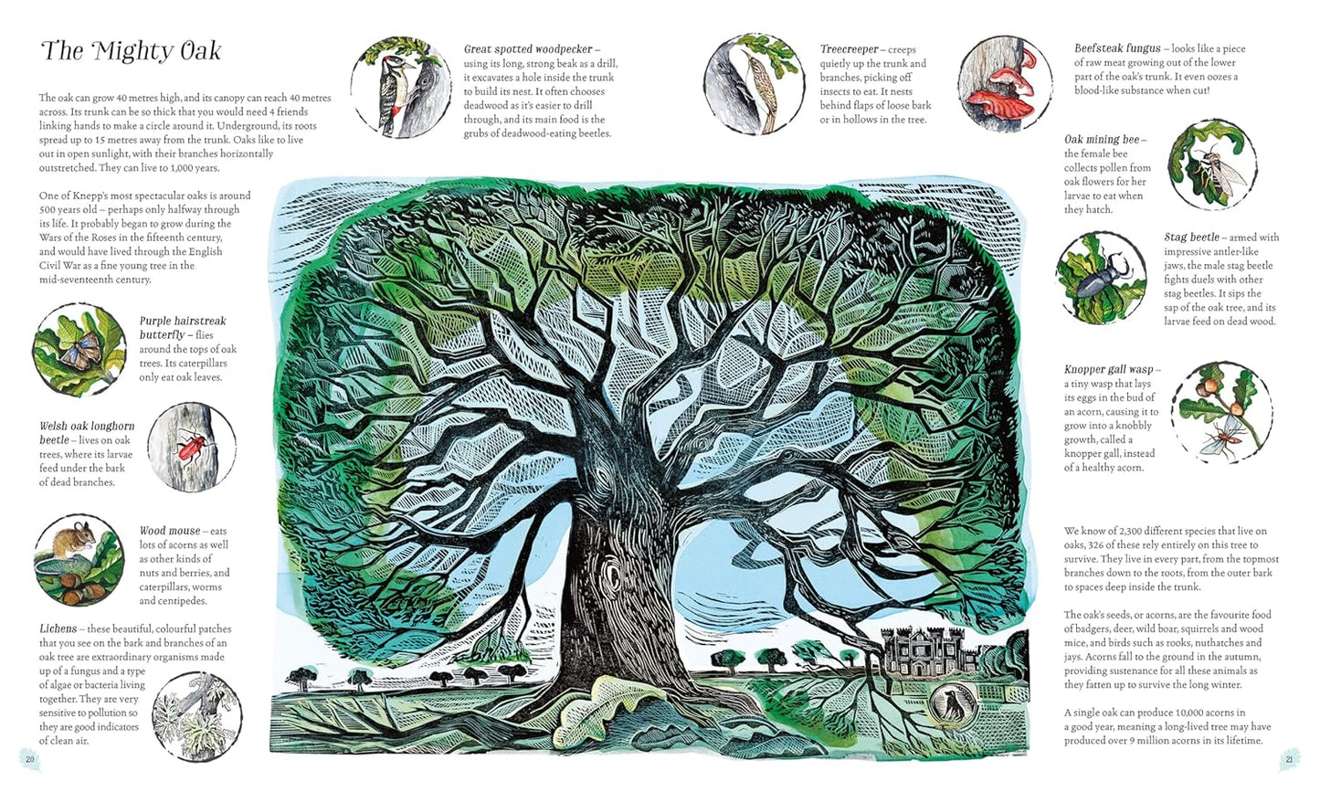 Wilding: How to Bring Wildlife Back - The New Illustrated Guide