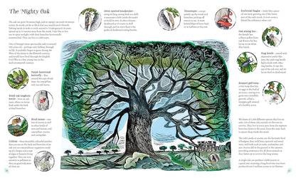 Wilding: How to Bring Wildlife Back - The New Illustrated Guide