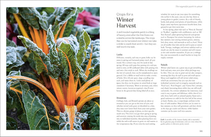 The Winter Garden: Celebrate the Forgotten Season: Celebrate the Forgotten Season