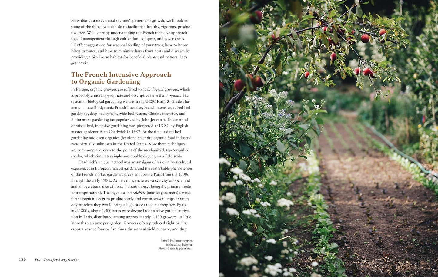 Fruit Trees for Every Garden: An Organic Approach to Growing Apples, Pears, Peaches, Plums, Citrus, and More: An Organic Approach to Growing Apples, Pears, Peaches, Plums, Citrus, and More