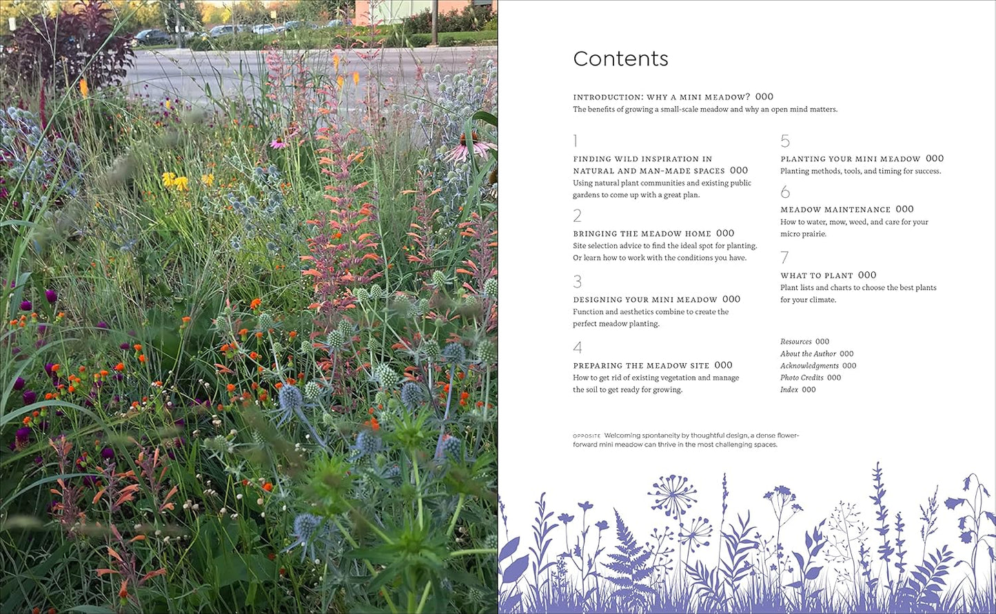 Tiny and Wild: Build a Small-Scale Meadow Anywhere by Graham Laird Gardner