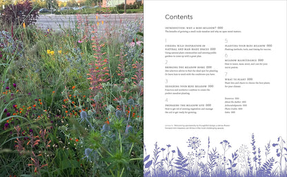 Tiny and Wild: Build a Small-Scale Meadow Anywhere by Graham Laird Gardner
