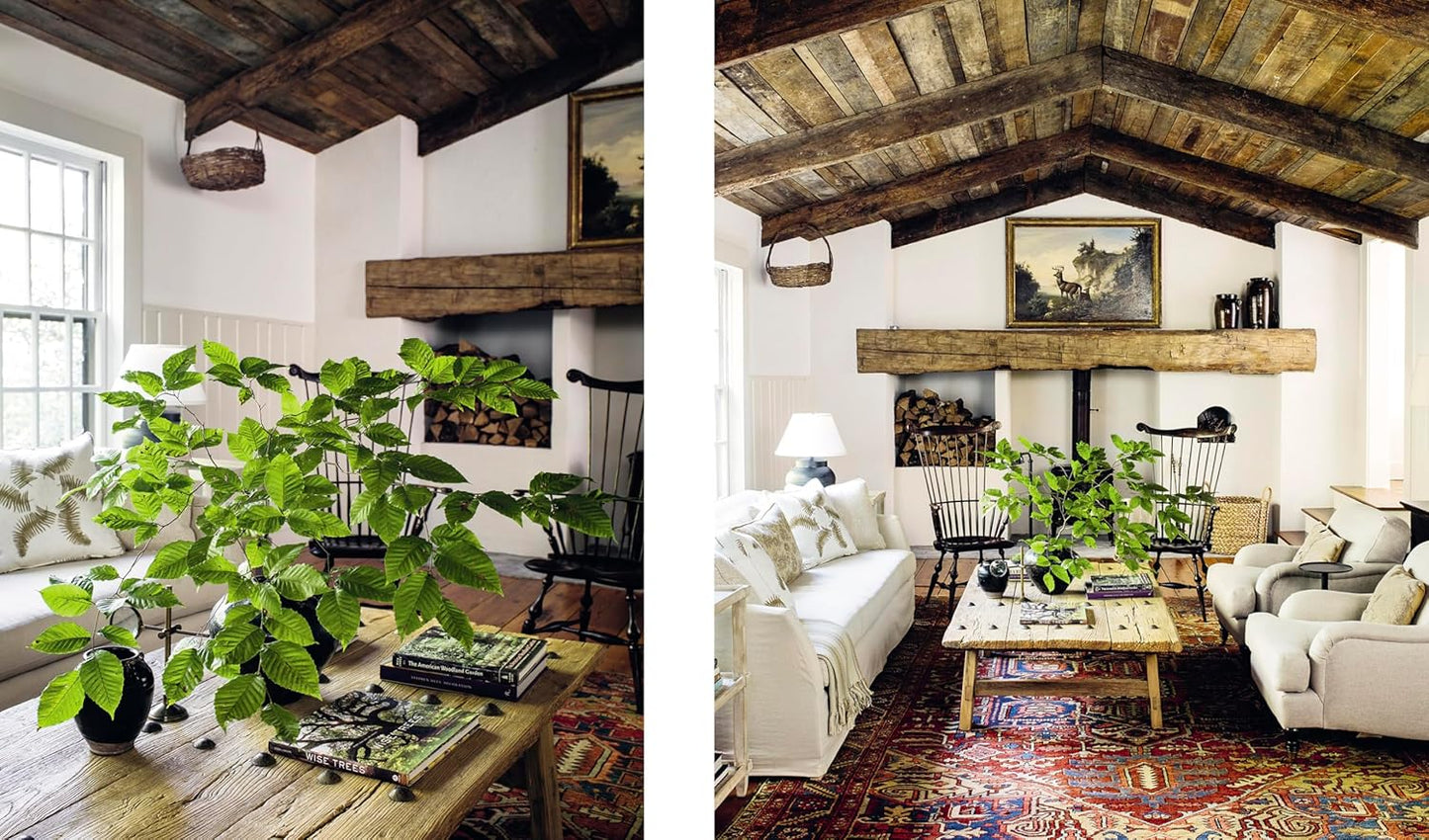 Down to Earth: Laid-Back Interiors for Modern Living: Laid-Back Interiors for Modern Living