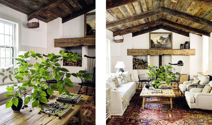 Down to Earth: Laid-Back Interiors for Modern Living: Laid-Back Interiors for Modern Living