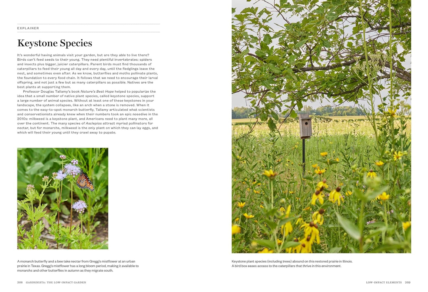 Gardenista: The Low-Impact Garden: A Guide to Creating Sustainable Outdoor Spaces: A Guide to Creating Sustainable Outdoor Spaces