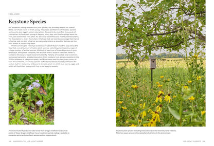 Gardenista: The Low-Impact Garden: A Guide to Creating Sustainable Outdoor Spaces: A Guide to Creating Sustainable Outdoor Spaces