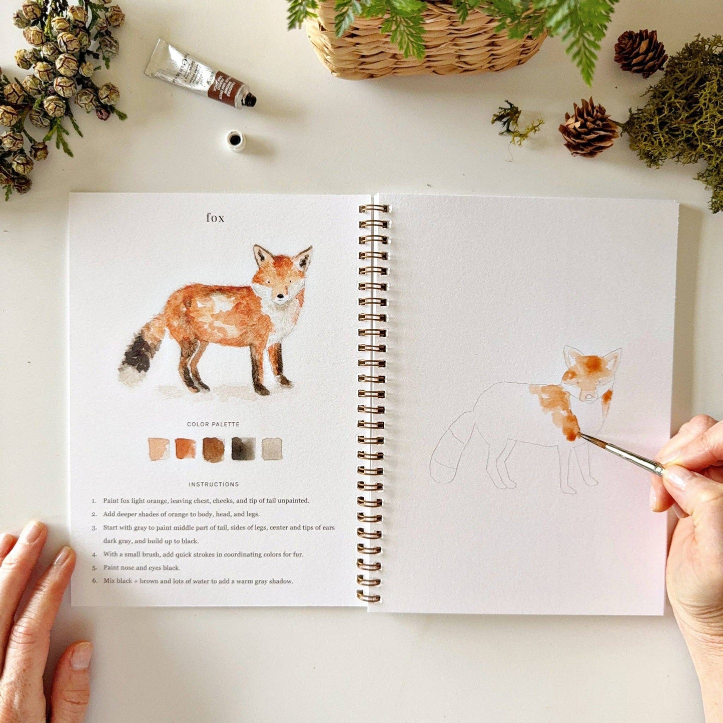 Woodland Watercolor Workbook by Emily Lex