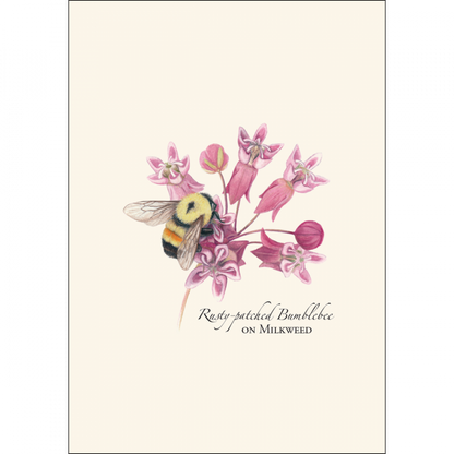 Bumblebee Assortment Notecard Set