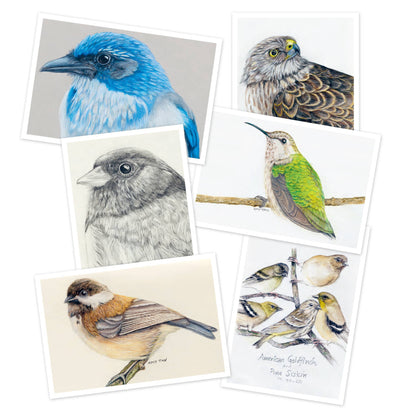 The Backyard Bird Chronicles: 50 Postcards