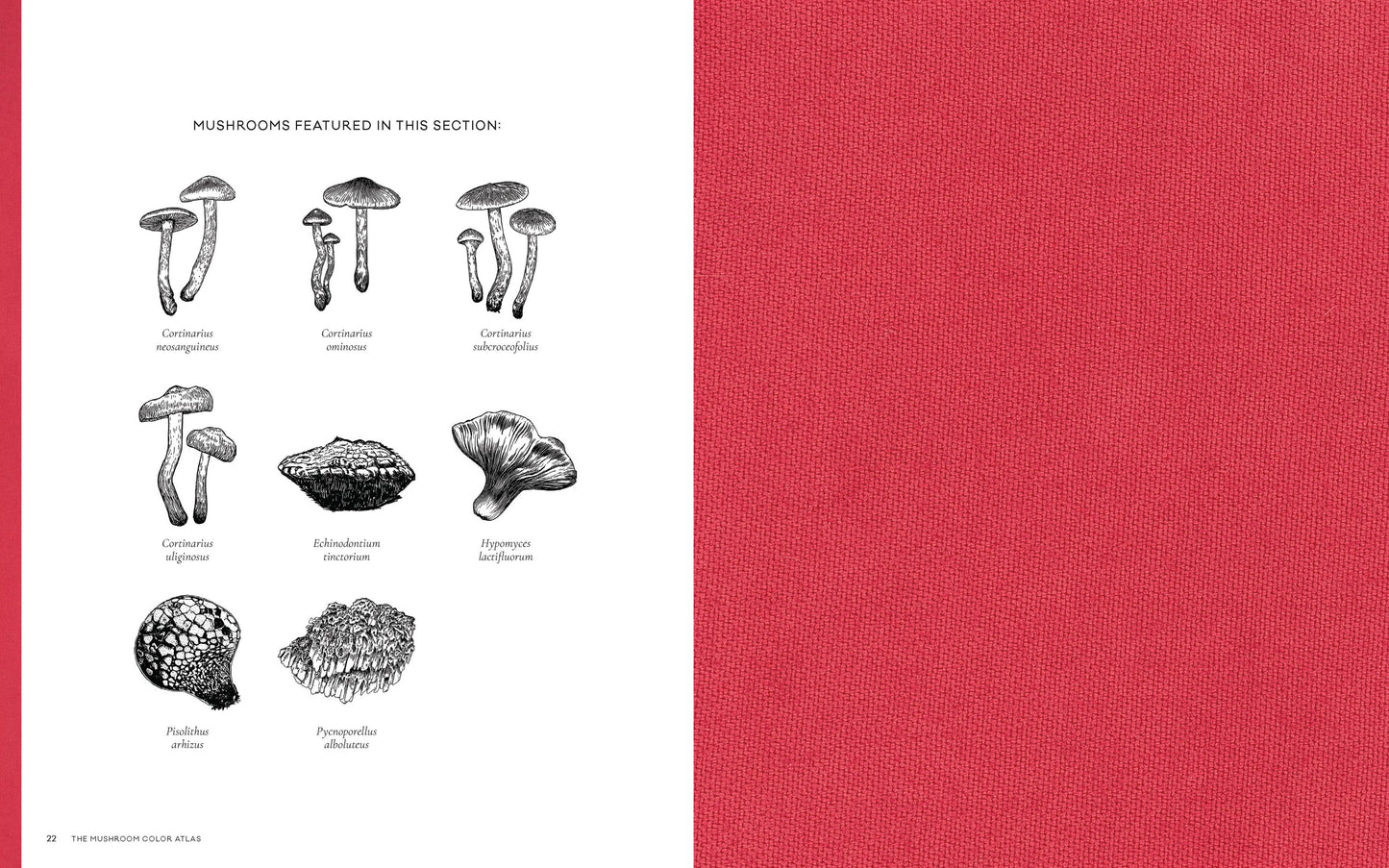 The Mushroom Color Atlas: A Guide to Dyes and Pigments Made from Fungi