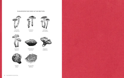 The Mushroom Color Atlas: A Guide to Dyes and Pigments Made from Fungi