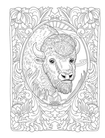 Creative Haven Wondrous Wildlife Coloring Book
